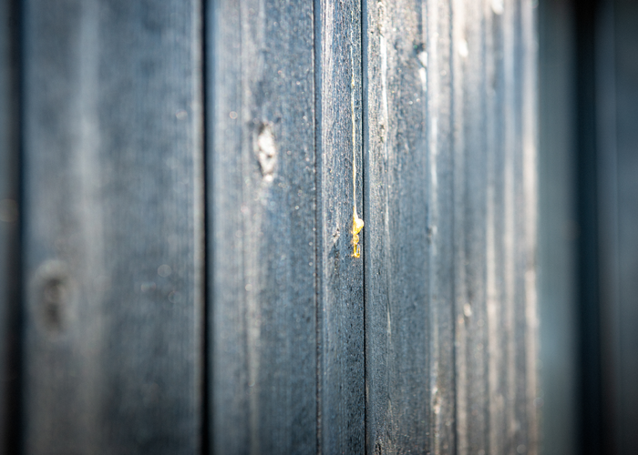 © Lotaa Architektur