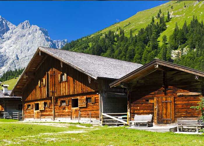 L'effetto ADLER baita alpina 