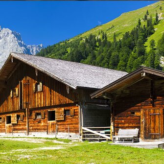 L'effetto ADLER baita alpina 